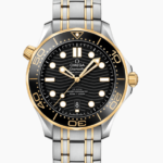 Seamaster300